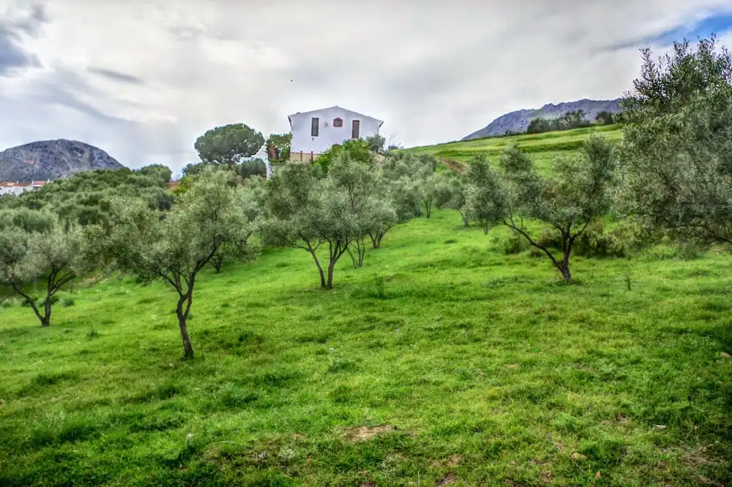 Casa rústica amb terrassa en venda a Alcaucín, imagen 5