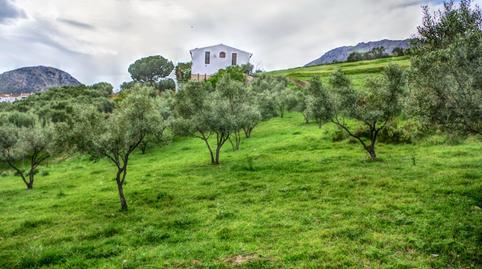 Foto 5 de Finca rústica en venda a Alcaucín, Málaga