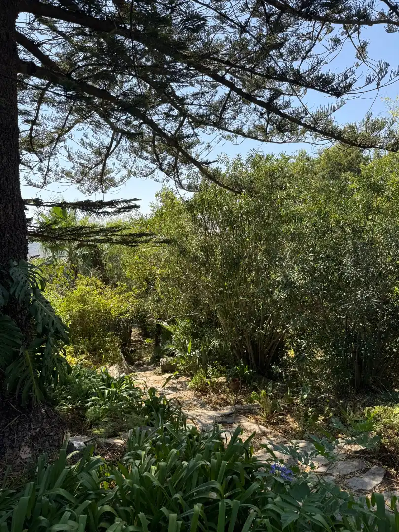 Jardín de Casa o chalet en venta en Algeciras con Jardín privado, Terraza y Piscina