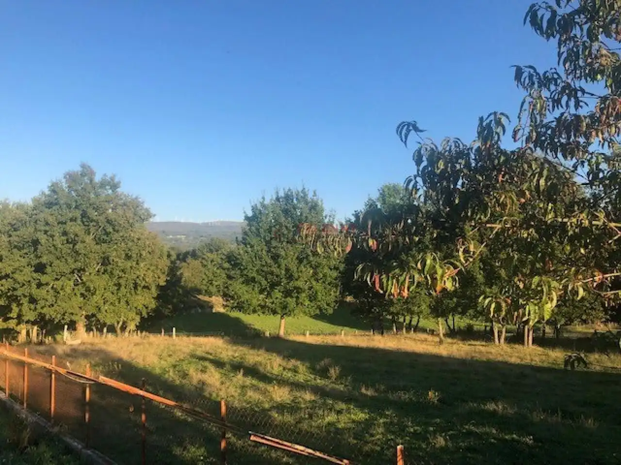 Terreni e lotti in vendita a Nogueira de Ramuín, imagen 8