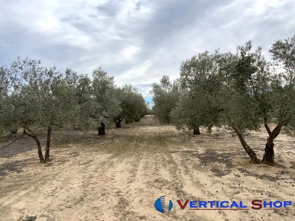 Casa o chalet en venta en Caudete