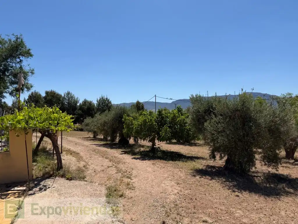 Casa o chalet en venta en Jumilla con Jardín privado, Terraza y Piscina