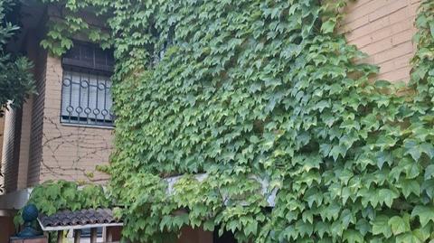 Photo 5 of House or chalet for sale in Santa Maria de Trassierra,  Córdoba Capital