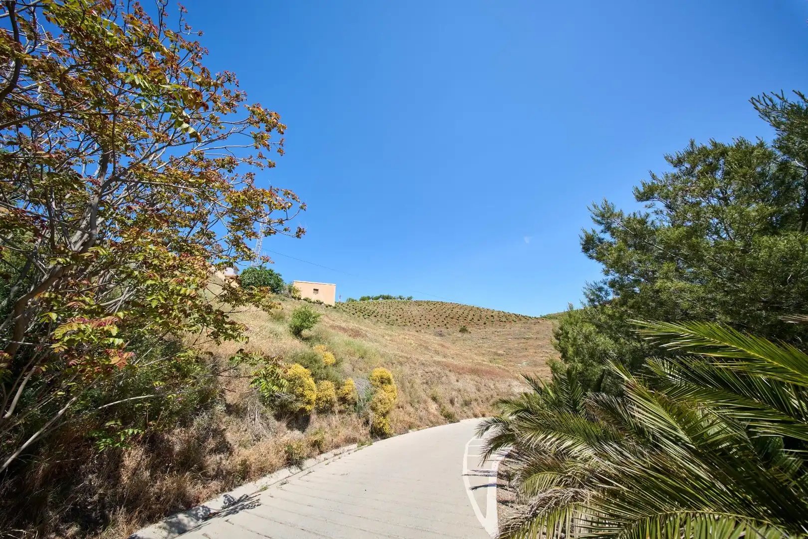 Exterior view of Residential for sale in Albondón