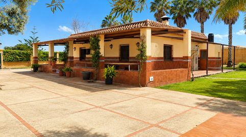 ¡¡¡PRECIOSA FINCA RÚSTICA DE RECREO CON CASA Y ÁRBOLES FRUTALES!!!, imatge 3