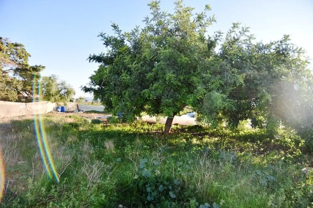 Finca rústica en venta en Fuente Álamo de Murcia con Jardín privado, Terraza y Trastero