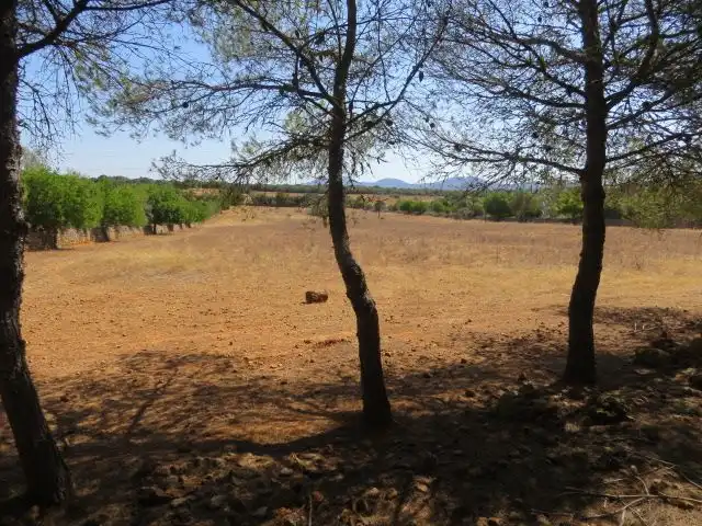 Residencial en venta en Campos