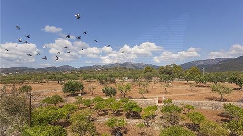 Foto 3 de Casa o chalet en venta en Bunyola, Illes Balears