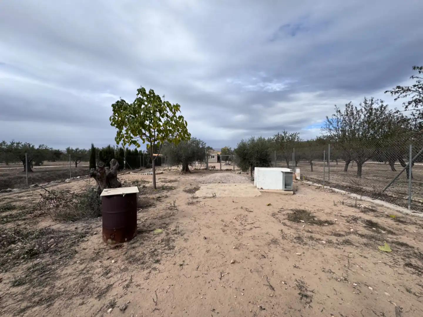 Terreno rústico en venta en Peña Rubia, imagen 3