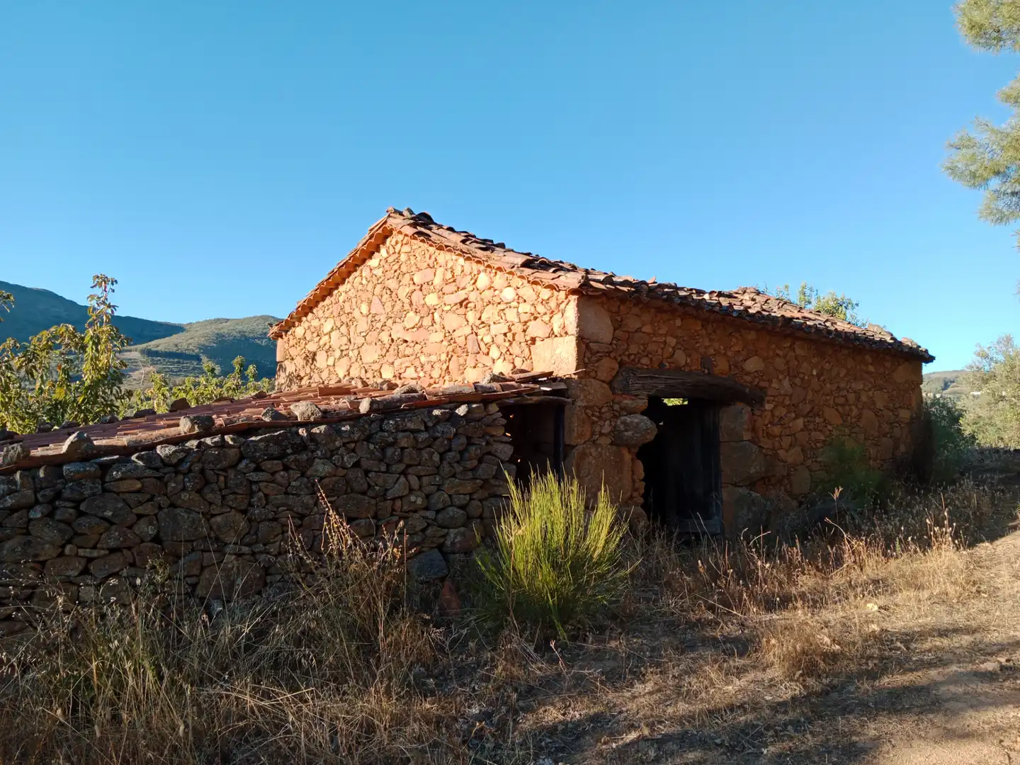 Vista exterior de Terreno en venta en Barrado