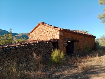 Terreno rústico en venta en Barrado