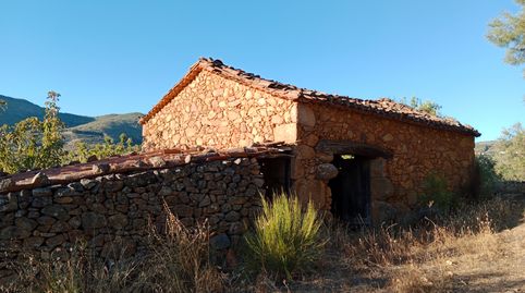 TERRENO EN EL VALLE DEL JERTE