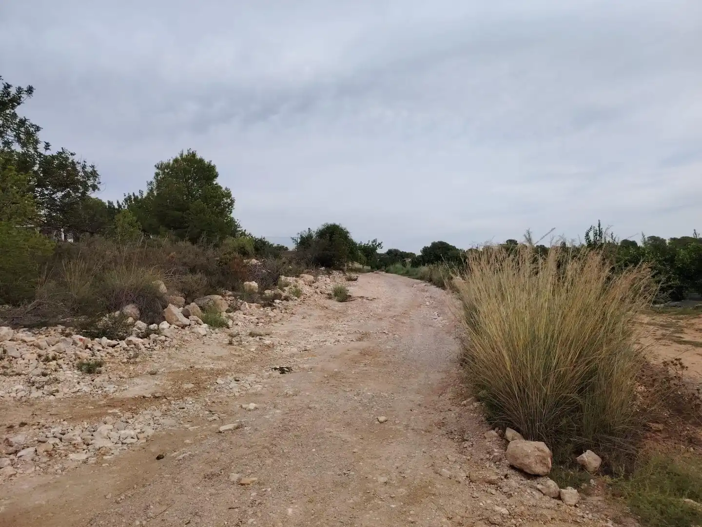 Terreny rústic en venda a Santa Bárbara, imagen 2