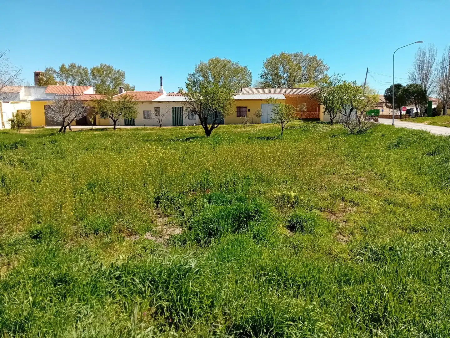 Flat for sale in Cózar