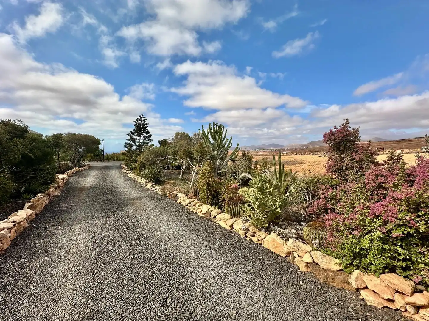 Vista exterior de Casa o chalet en venta en Puerto del Rosario con Jardín privado y Trastero