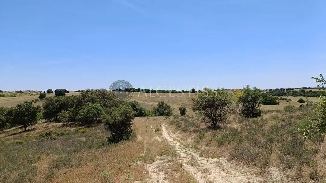 Terreno en venta en La Torre de Esteban Hambrán