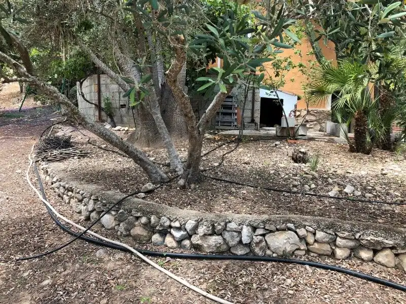 Jardín de Casa o chalet en venta en Palma de Gandia con Aire acondicionado, Jardín privado y Terraza