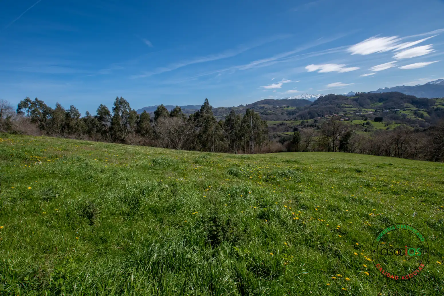 Terreno rustico in vendita a Cabranes - Naveda, imagen 16
