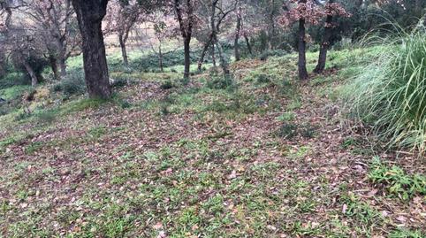 Photo 3 of Residential for sale in Carrer Pinsà, Residencial Park, Girona