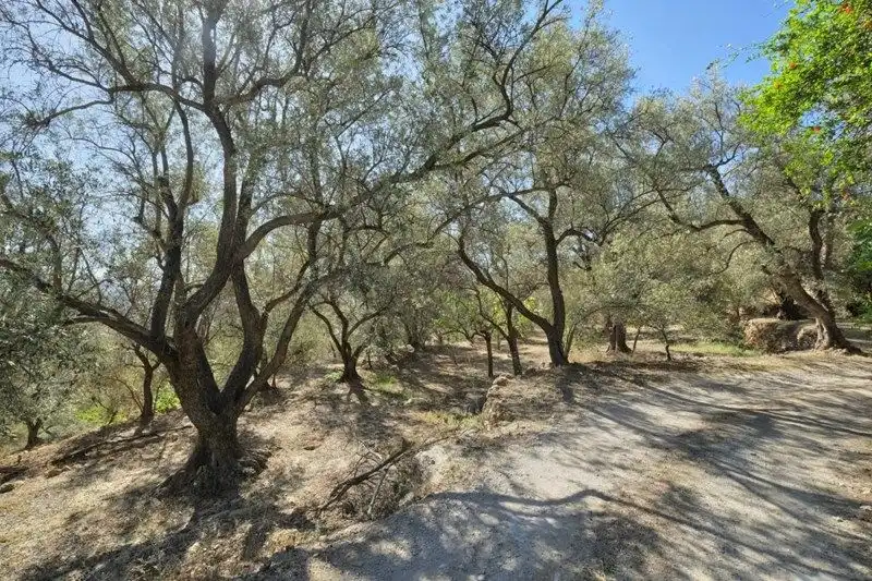 Terreno rustico in vendita a El Pinar, imagen 11