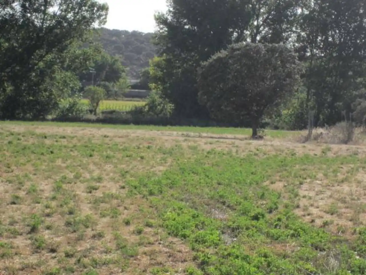 Terreno residencial en venta en Poligono 20, imagen 12