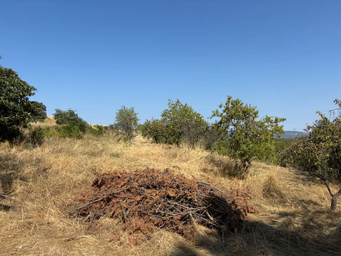 Rural land for sale in Carrer de la Muntanya, imagen 41