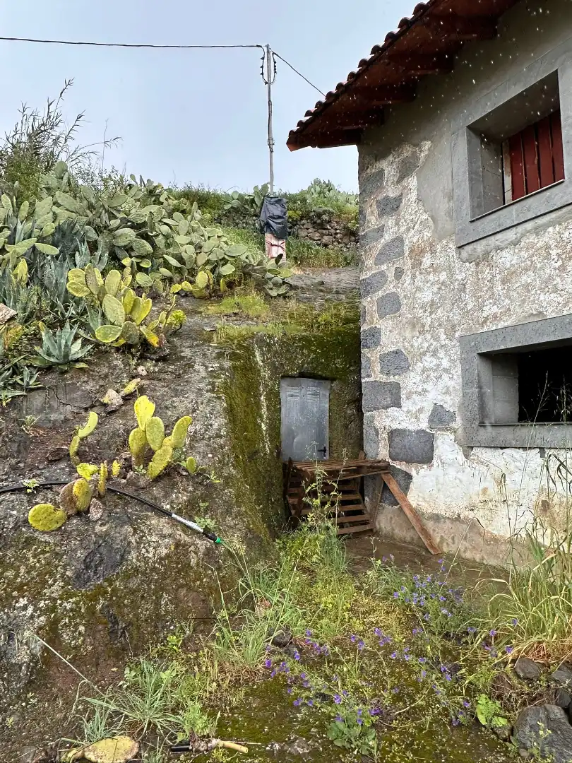 Exterior view of Country homes for sale in Teror  with Private garden and Terrace