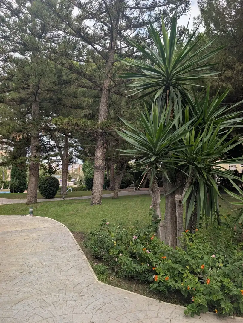 Appartement avec ascenseur à louer à MARINA BAIXA, imagen 29