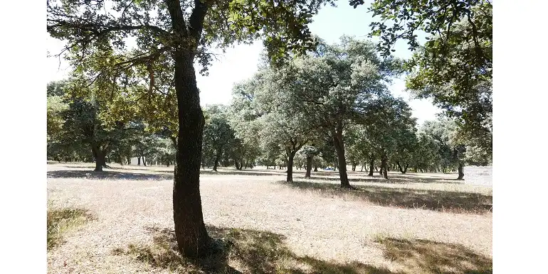 Terreni e lotti in vendita a Marugán, imagen 59