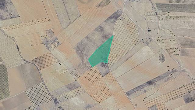 Terreno en Venta en Diseminado de Campo Arriba - Paraje Campules en Yecla