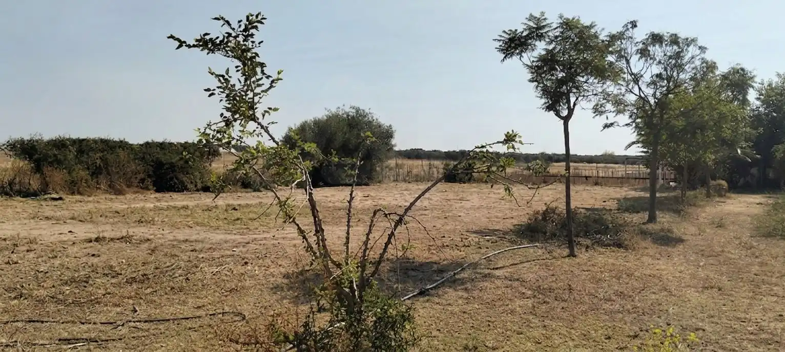 Terreni e lotti in vendita a La Hacienda - Nueva Andalucía, imagen 6
