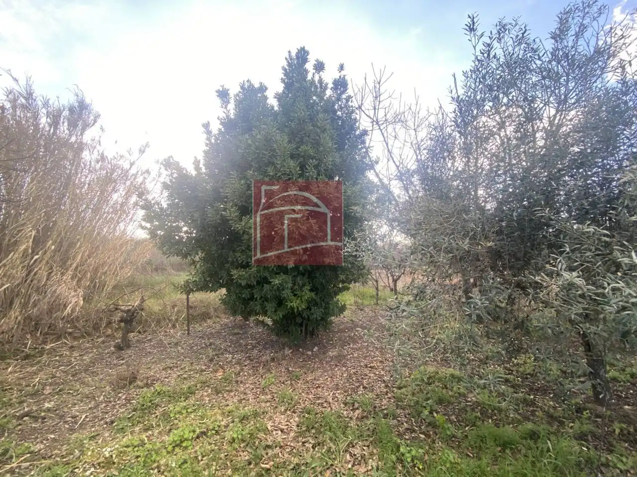 Terreni e lotti in vendita a Villanueva de la Serena, imagen 8