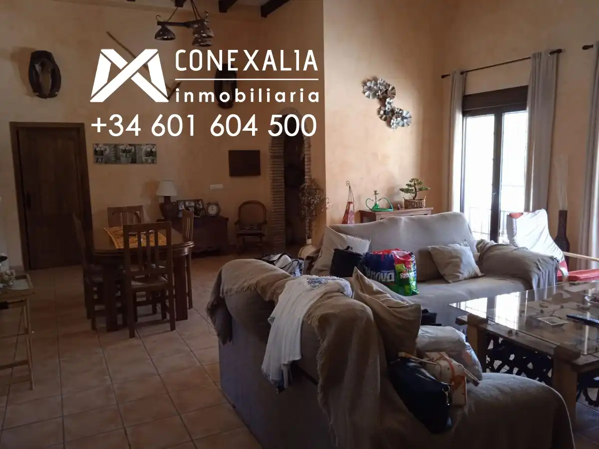 Sala de estar de Finca rústica en venta en Algodonales con Piscina