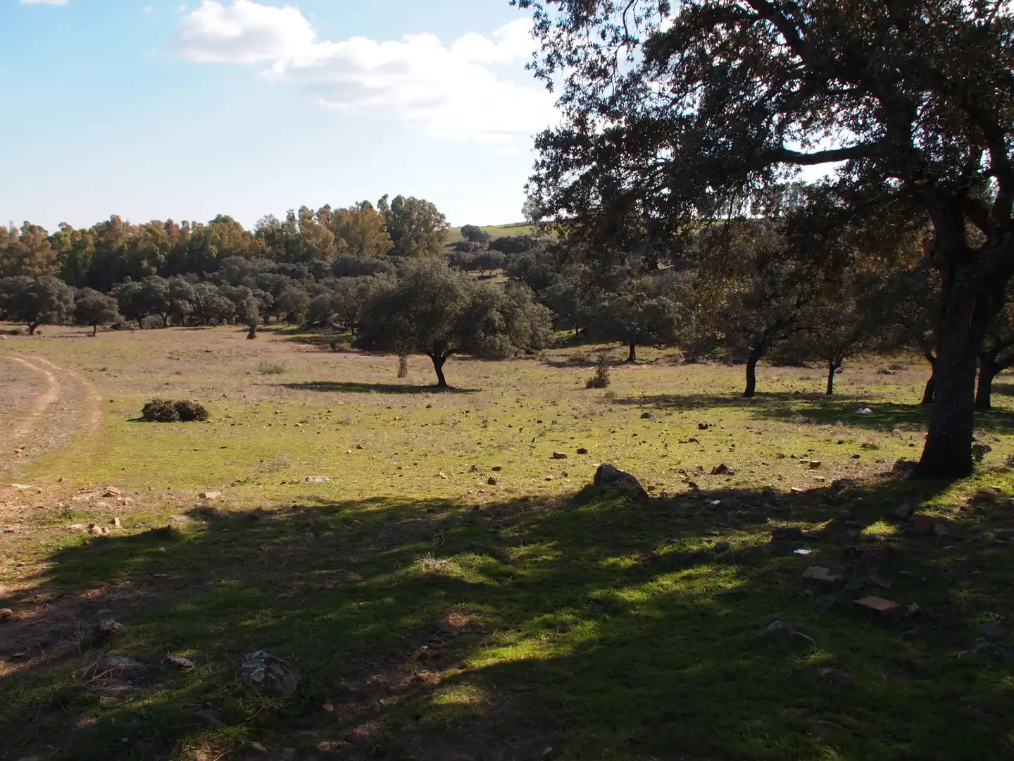 Country house zum Verkauf in Santa Olalla del Cala