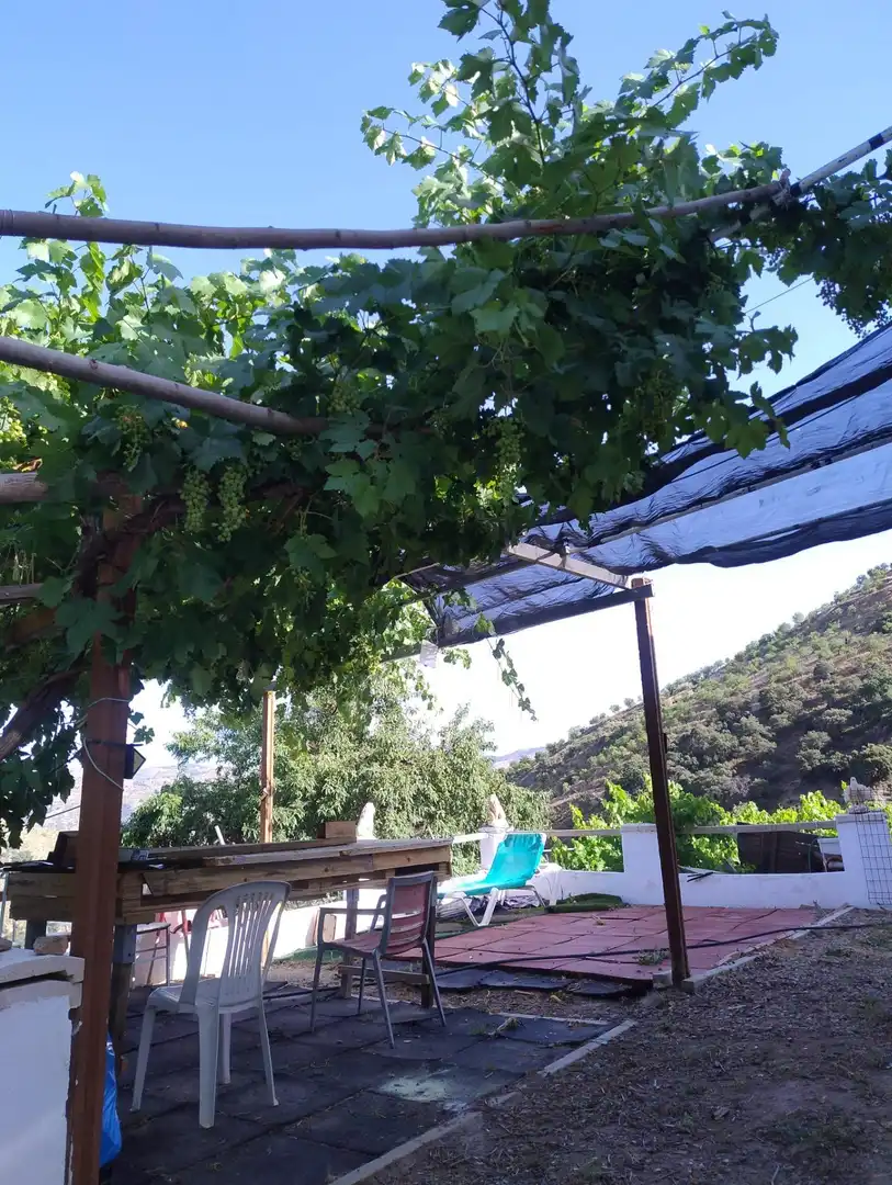 Garden of Houses for sale in Cástaras