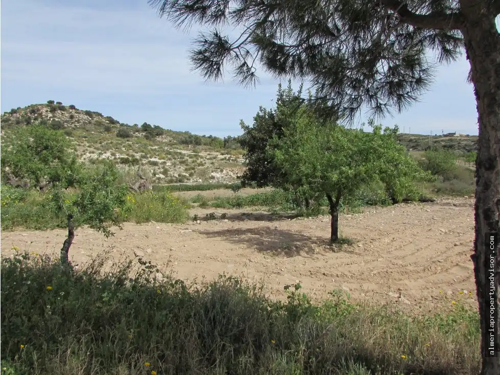 Country house for sale in Sorbas, imagen 18