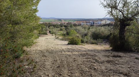 Finca rústica de 2541 m2 con bonitas vistas, imatge 2