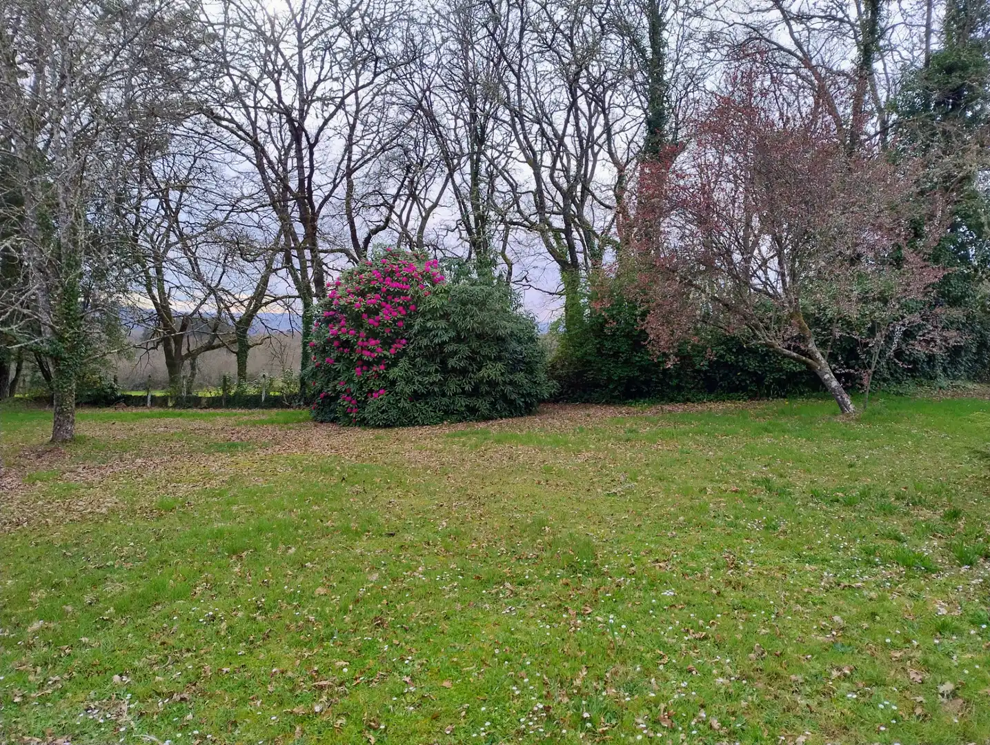 Casa o chalet en venta en Lugo con Amueblado