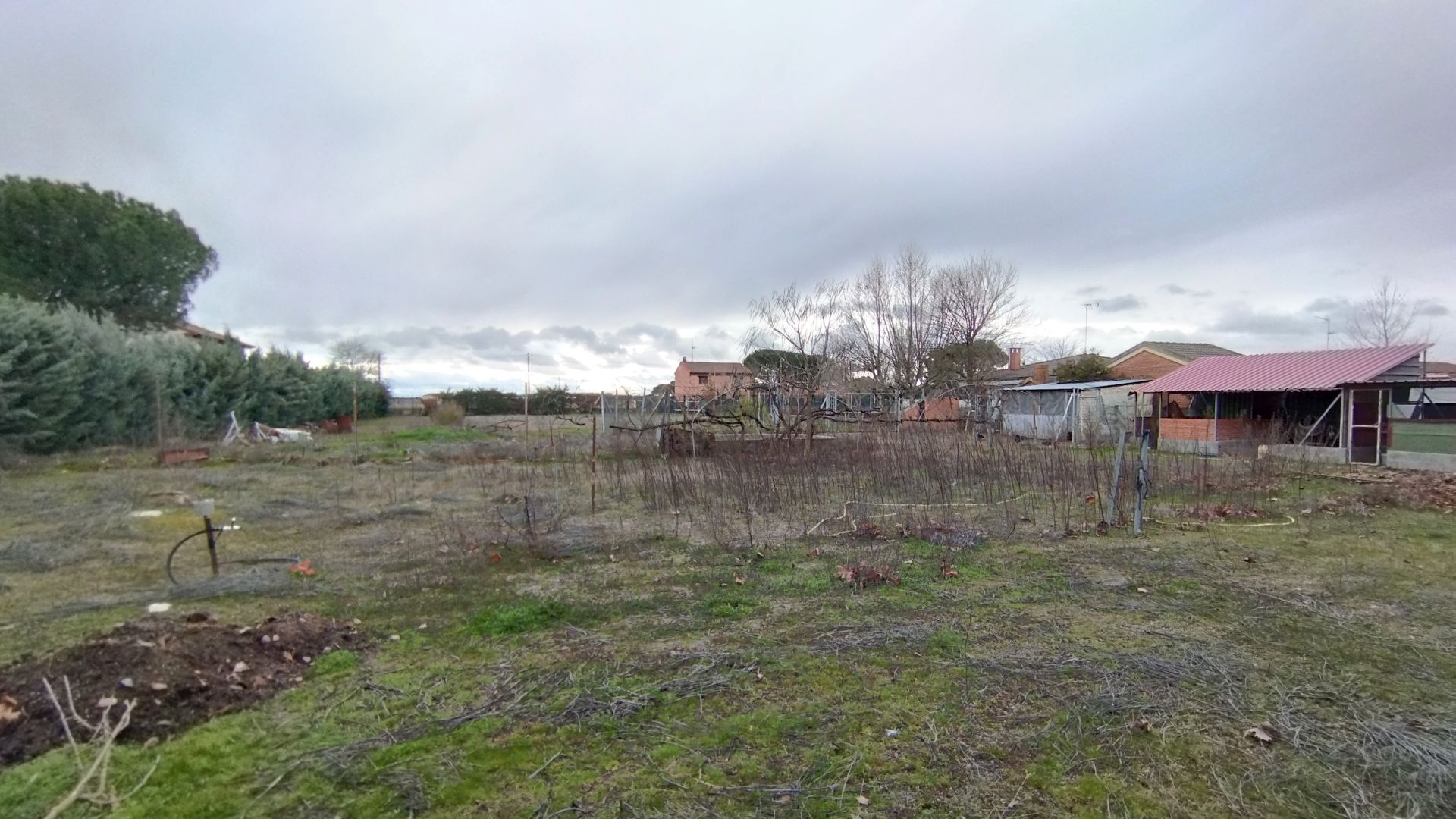 Land for sale in Pozal de Gallinas