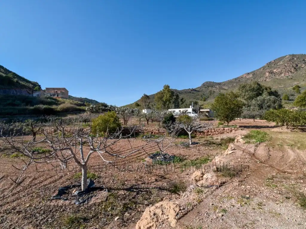 Maison à vendre à Tébar - Los Arejos, imagen 31
