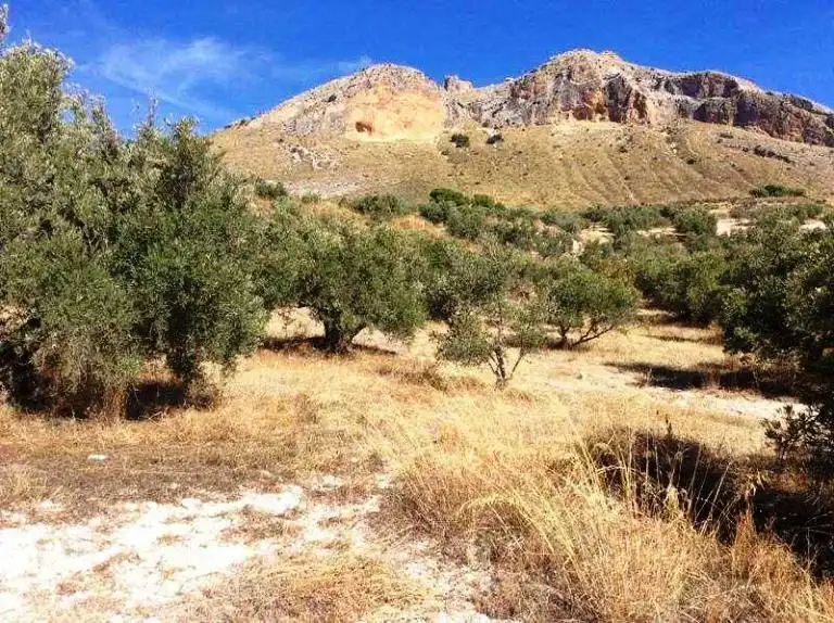 Terreni e lotti in vendita a Bedmar y Garcíez, imagen 4