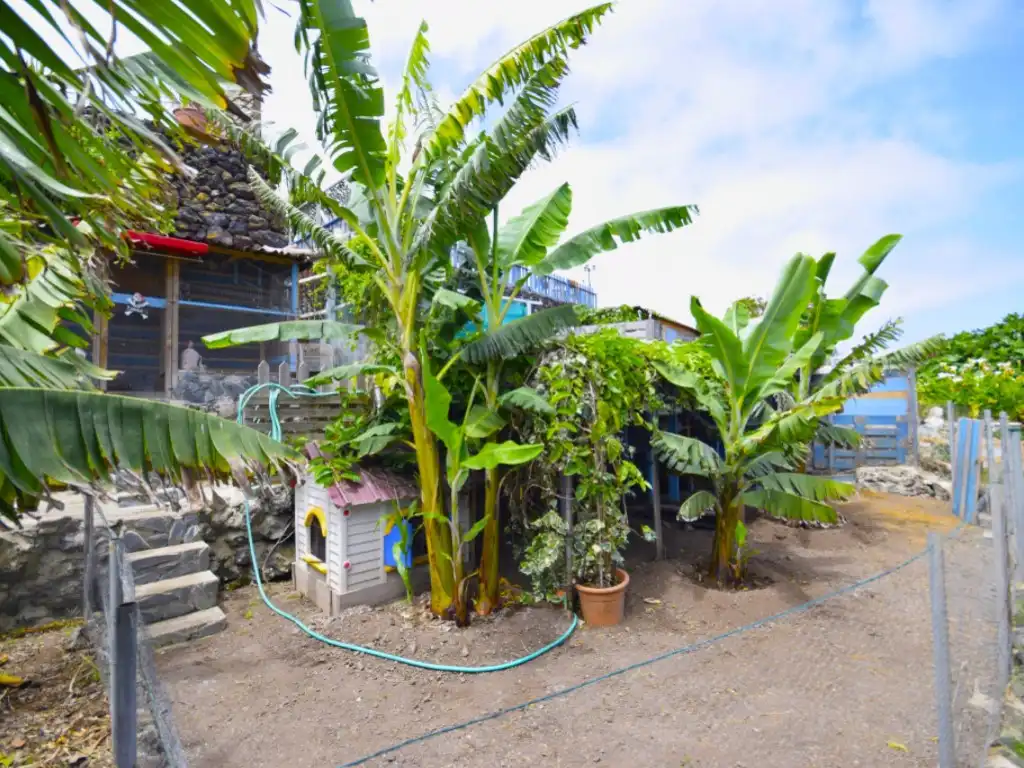 Jardí de Finca rústica en venda en Garachico