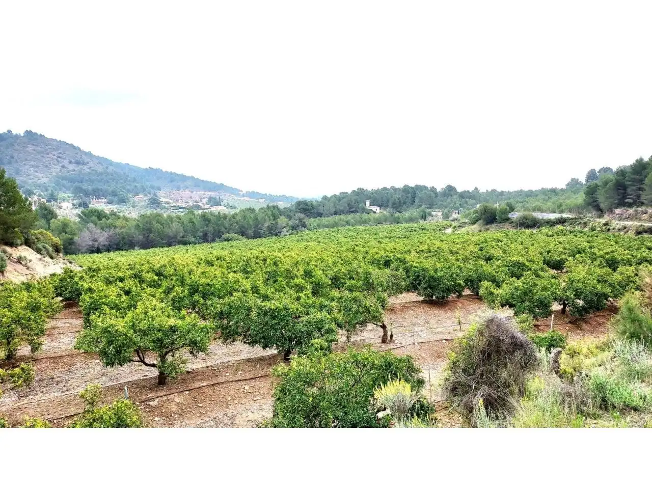 Rural land for sale in 30