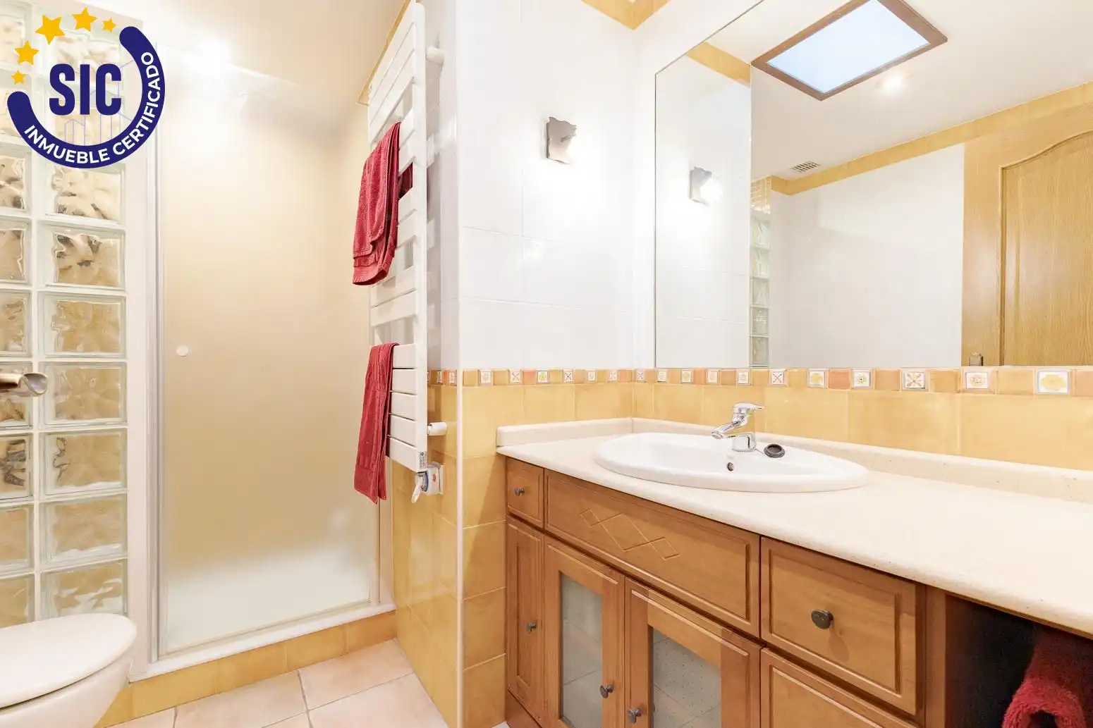 Baño de Casa o chalet en venta en Alaquàs