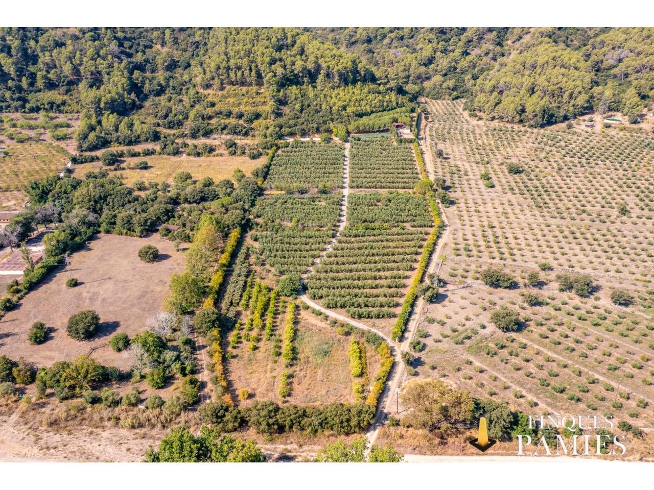 Land for sale in Les Borges del Camp