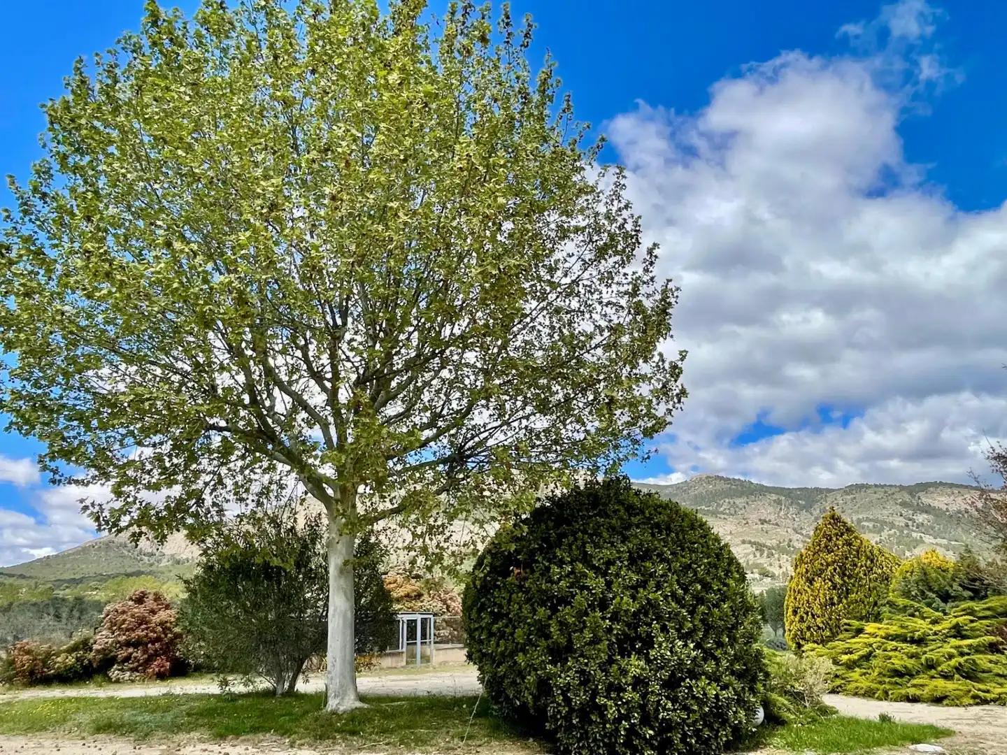 Exterior view of Houses for rent in Castalla  with Heating, Private garden and Terrace