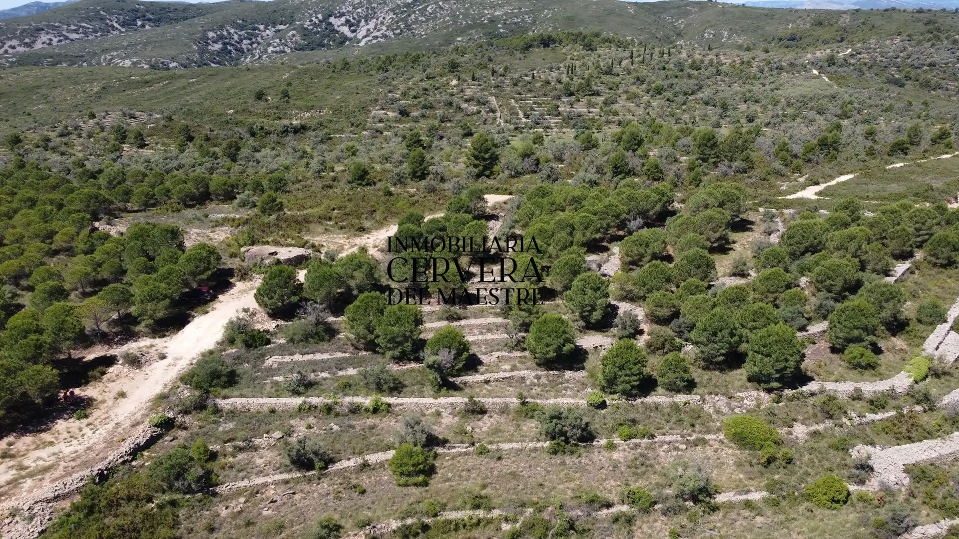 Terreny rústic en venda a Cervera del Maestre, imagen 20