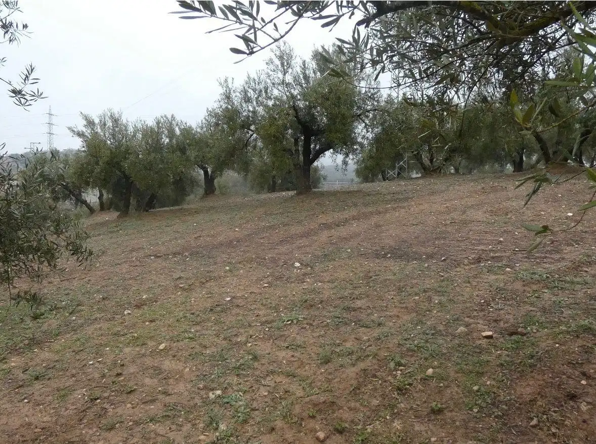 Terreni e lotti in vendita a Peligros, imagen 26