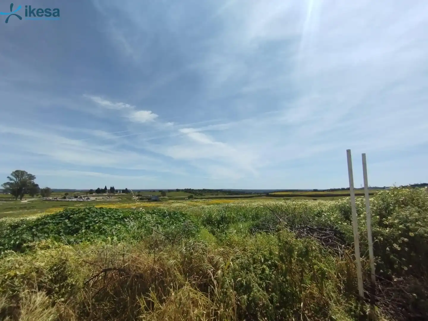 Terreni e lotti in vendita a Alosno pueblo