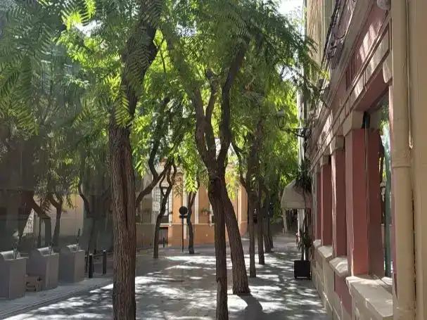 Room in Almería, Almería